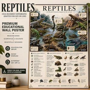 Peut inclure: Une affiche murale éducative rectangulaire intitulée REPTILES, présentant des illustrations détaillées de divers reptiles comme des crocodiles, des serpents et des tortues. L'affiche inclut du texte scientifique, des diagrammes sur les caractéristiques, le cycle de vie et les rôles écologiques.