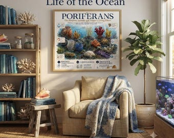 Poriferans Classification Chart | Marine Biology Educational Poster (Digital Download)