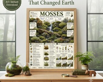 Moss Classification Chart | Bryophyte Botany Wall Art (A4 PDF)
