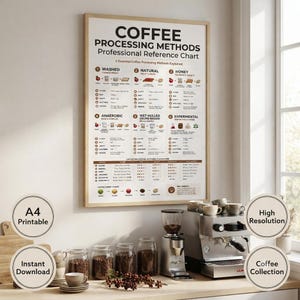 May include: A framed wall poster titled Coffee Processing Methods Professional Reference Chart, detailing six techniques with icons and flavor profiles. The chart includes sections for Washed, Natural, Honey, Anaerobic, Wet Hulled, and Experimental methods.