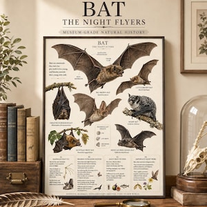 May include: A natural history educational poster titled BAT THE NIGHT FLYERS featuring detailed illustrations of various bat species, including the Big Brown Bat and Hoary Bat, with descriptive text, scientific labels, and diagrams of mammalian traits.