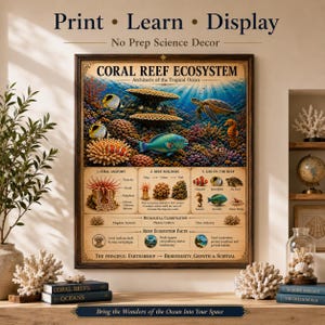 Coral Reef Ecosystem Poster | Marine Biology Chart | Ocean Science Poster | Homeschool Resource | Instant Download