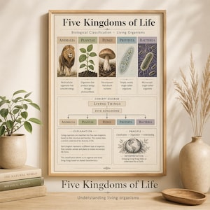 Puede incluir: Un póster educativo enmarcado titulado "Five Kingdoms of Life" con un fondo beige. El póster muestra ilustraciones de animales, plantas, hongos, protistas y bacterias. El texto incluye "Clasificación biológica".
