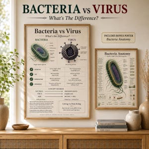 Può includere: Due poster educativi intitolati Bacteria vs Virus e Bacteria Anatomy, con diagrammi scientifici dettagliati, testo e grafici su sfondo color crema. I poster confrontano strutture biologiche, riproduzione e definizioni di microrganismi.