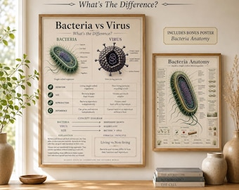 Poster Batteri vs Virus, Tabella comparativa di microbiologia, Poster per la classe di biologia, Poster bonus sull'anatomia dei batteri, Download immediato