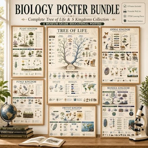 May include: A collection of six educational posters titled Biology Poster Bundle, featuring the Tree of Life, Plant, Animal, Fungi, Protist, and Monera Kingdoms. Each poster displays detailed scientific illustrations, diagrams, and text on a cream background.
