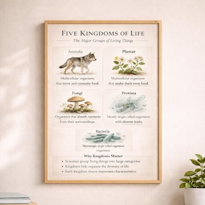 Five Kingdoms of Life Poster – Biology Classification Chart (Digital Download)