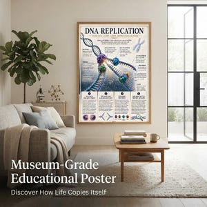DNA Replication Poster | Molecular Biology Wall Art | Genetics Classroom Decor | Homeschool Science Print | Museum Educational Poster