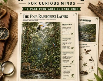 Rainforest Science Curriculum | Visual Ecosystem Unit for Ages 7–12 | ADHD-Informed Homeschool Science | Printable PDF