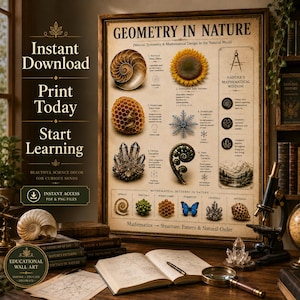 Könnte beinhalten: Ein rechteckiges Lehrplakat mit dem Titel Geometry in Nature, das Illustrationen von Nautilus-Schale, Sonnenblume, Bienenwabe, Schneeflocke, Kristall und Farn zeigt. Das Plakat zeigt mathematische Muster und Diagramme auf beigem Grund.