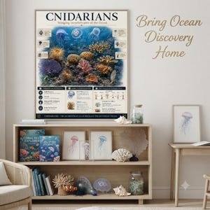 Puede incluir: Un gran póster educativo titulado CNIDARIANS Stinging Invertebrates of the Ocean con ilustraciones coloridas de arrecifes de coral y medusas, exhibido en una estantería de madera con libros, especímenes de coral y frascos de vidrio.