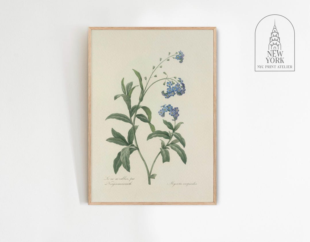 Vintage Blue Botanical Print | Blue Flower Wall Art | Blue Wildflower ...