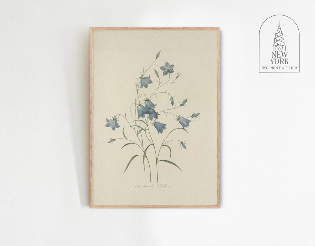 Vintage Blue Botanical Print | Blue Flower Wall Art | Blue Wildflower ...