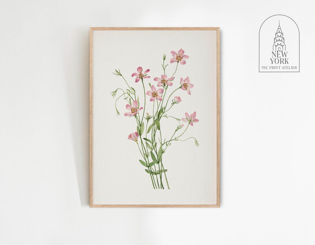 Vintage Pink Botanical Print | Pink Flower Art | Wildflower Print ...