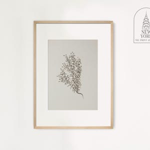 Vintage Neutral Botanical Print | Minimalist Floral Wall Art | Thyme Art Print | Herb Print | Medical Botany Plant Art | MB06
