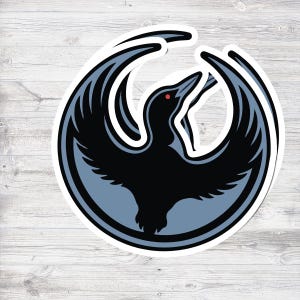 May include: A sticker featuring a stylized black raven with outstretched wings, set against a light blue background within a circular frame. The raven has a red eye and is depicted in a graphic style.