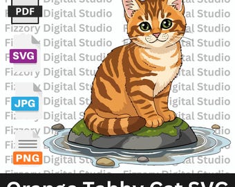 Orange getigerte Katze SVG | Niedliches Kätzchen Clipart PNG, Cricut-Schnitt-Datei, Sommer-Shirts, Tassen & Wandkunst, digitaler Download