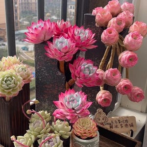 May include: A collection of artificial succulents in various shades of pink, green, and peach. The arrangement includes large, open succulents with pink petals and blue-green centers, and smaller, rose-like buds. The plants are displayed in decorative pots and vases.