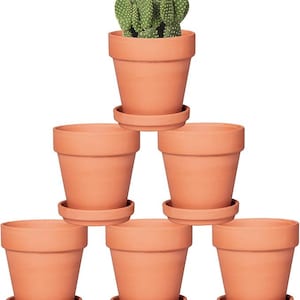 May include: A set of six terracotta plant pots arranged in a pyramid formation. Each pot features a matching circular saucer base. The top pot contains a green prickly pear cactus with small red flowers on top, while the other five pots are empty.