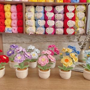 Häkelblumentopf-Set, handgemachte Amigurumi-Blumen, gehäkelte Miniblumen, niedliches Schreibtischdekor, Boho-Innendekoration, Geschenk für Pflanzenliebhaber