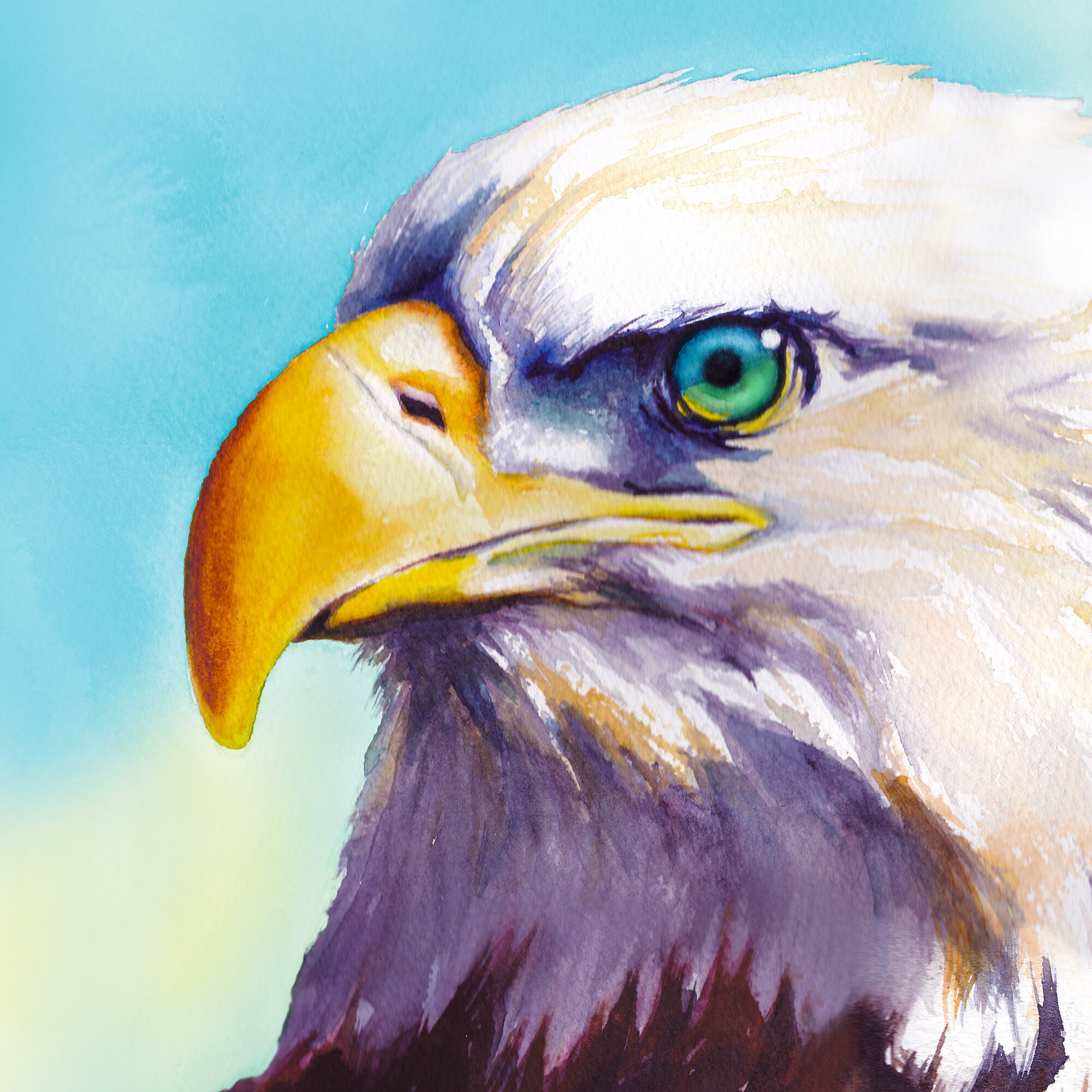 Bald Eagle Art Print Watercolor Eagle Art Print Bald Eagle | Etsy