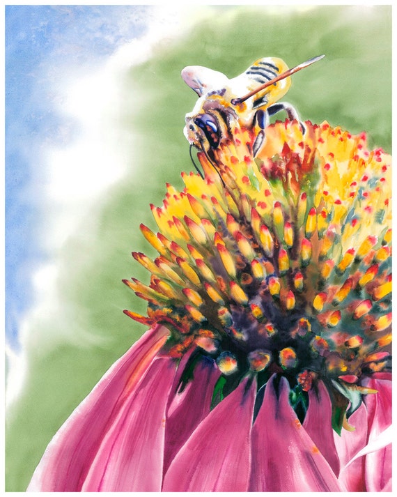 Download 8x10 Honey Bee Flower Watercolor Giclee Fine Art Print | Etsy