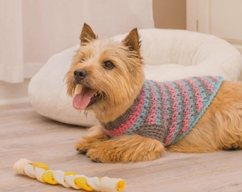 Patrón de suéter de ganchillo para perro / Ropa deportiva texturizada para mascotas (Descarga en PDF)