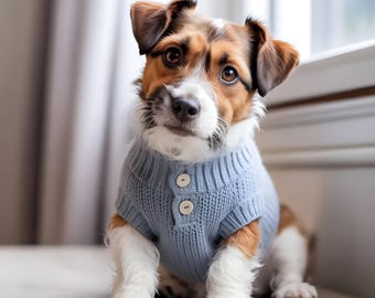 Patrón de suéter para perro pequeño, jersey fácil para mascotas (PDF, descarga inmediata)