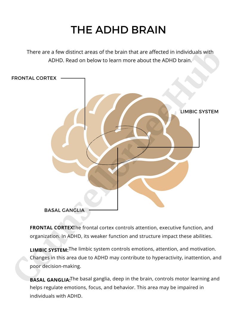 ADHD Cheat Sheet - Etsy