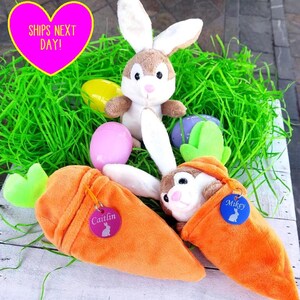 May include: An Easter-themed arrangement featuring plush bunnies, colorful eggs, and carrot-shaped pouches. The bunnies have brown and white fur. The pouches are orange with name tags. The background includes green decorative grass.