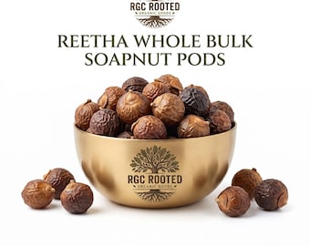 Reetha, Sapindus Mukorossi, Soapnut, Arishtak, Soapberry, Washnut, Ritha, Dodan, Whole Fruit, Botanical