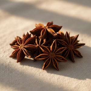 Close-up of a single whole star anise pod on a light surface, showing its distinctive star-shaped structure