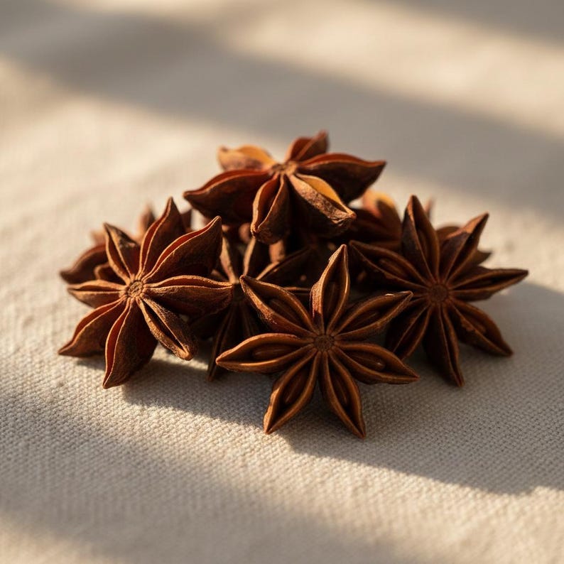 Close-up of a single whole star anise pod on a light surface, showing its distinctive star-shaped structure