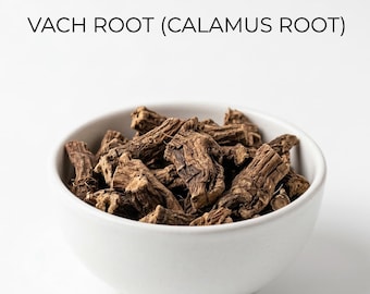 Dried Calamus Root | Acorus Calamus, Vach Sweet Flag