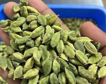 Green Cardamom Pods | Fresh Indian Elaichi Spice