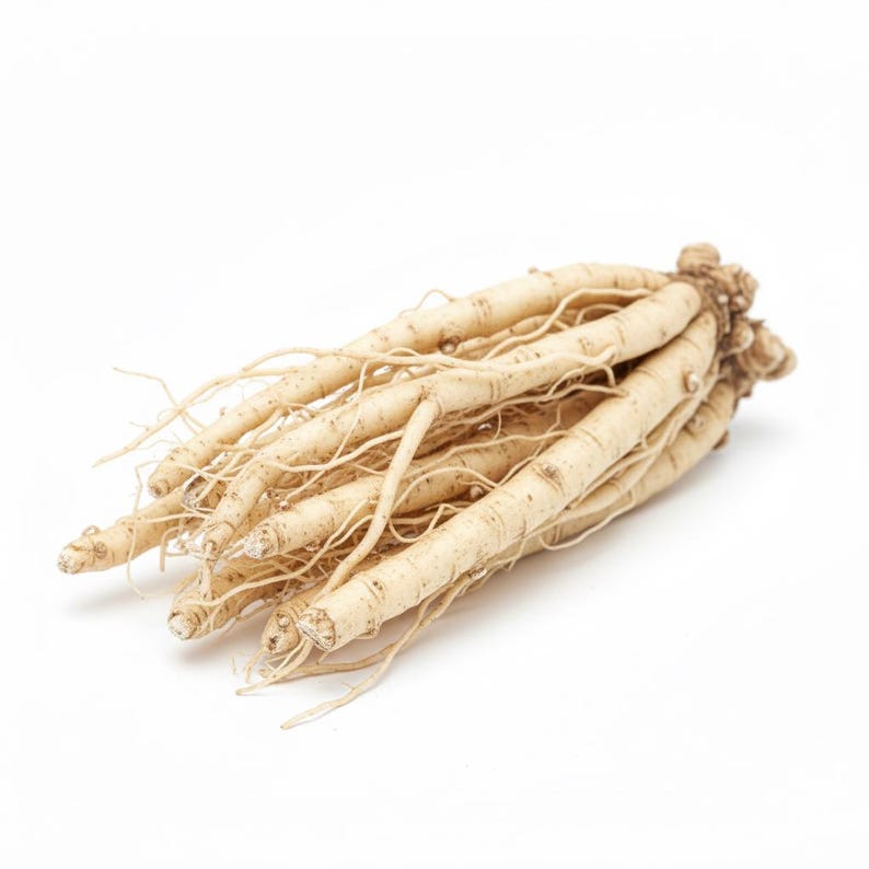 May include: A bundle of fresh ginseng roots, featuring a light beige color and numerous thin, delicate rootlets. The roots are clustered together, showcasing their natural form against a clean white background. This image highlights the raw, unprocessed state of the herbal product.