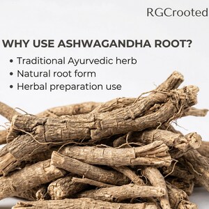 Ashwagandha-rot hela, naturliga torkade rötter, örtingrediens för traditionellt bruk bild 4