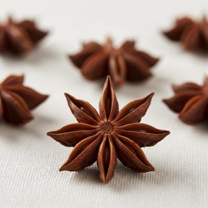 Close-up of a single whole star anise pod on a light surface, showing its distinctive star-shaped structure