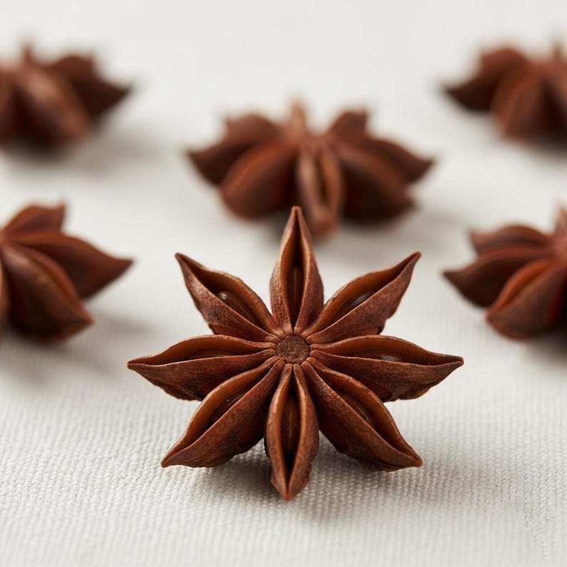 Close-up of a single whole star anise pod on a light surface, showing its distinctive star-shaped structure