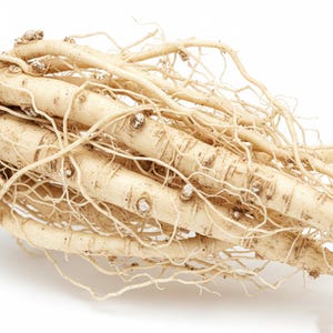 May include: Close-up of a pile of ginseng roots. The roots are a light beige color with a network of thin, light-colored rootlets. The main roots are thick and cylindrical, with visible nodes and a slightly rough texture. The background is plain white.