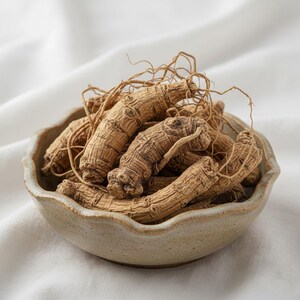 May include: A ceramic bowl filled with dried ginseng roots. The roots are light brown with a textured surface and thin, wiry tendrils. The bowl is a light beige color and sits on a white, textured surface.