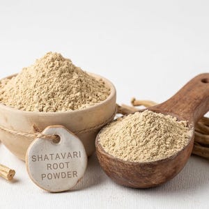 Może przedstawiać: Jasnobrązowy proszek z napisem "SHATAVARI ROOT POWDER" w małej drewnianej misce i drewnianej łyżce. Kilka kawałk&oacute;w suszonego korzenia jest rozrzuconych wok&oacute;ł miski i łyżki. Proszek ma drobną konsystencję.