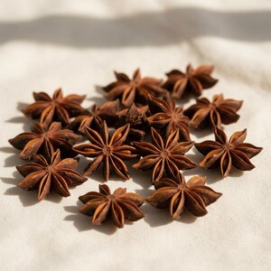 Collection of whole star anise pods arranged on a light surface, showing their natural shape and texture