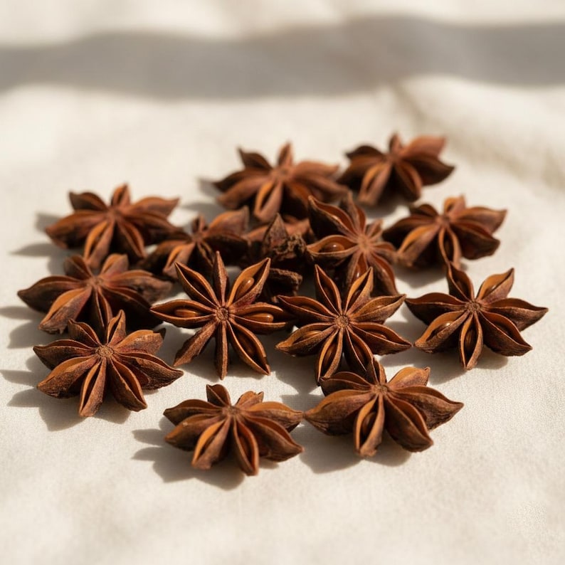 Collection of whole star anise pods arranged on a light surface, showing their natural shape and texture