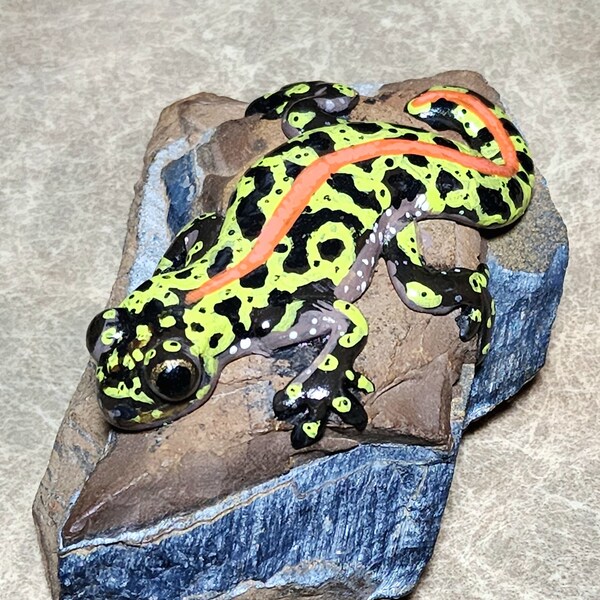 Marbled Newt on a rock, valentine gift, paperweight, nick knack, salamander, critter sculpture, pet rock, painted rock, one of a kind