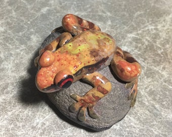 Frog on a Rock | Etsy