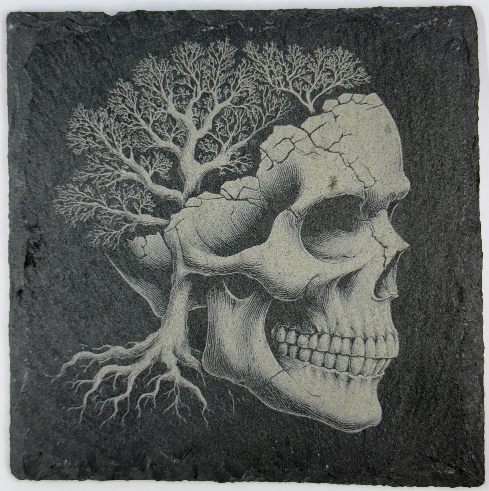 Tree Root Skull Slate Coaster – Gothic Nature Art - Etsy