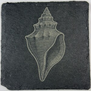 May include: Square, dark gray slate coaster with a detailed, etched image of a conch shell. The shell design is in a lighter gray, contrasting against the dark background. The coaster has a natural, rough edge.