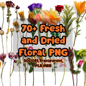 Fresh Dried Floral Scene Creator PNG, Realistic Shadows, Textures (300 DPI)