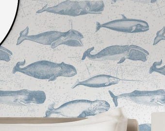 Vintage Whale Illustrations - Removable Wallpaper